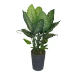زرعة ديكور ديفنباخيا صناعية، طول 90 سم 