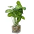 Artificial Plant with Decorative Pot, 25 cm Height, Green Color