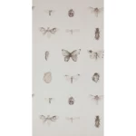 ورق جدراي شبابي لون بيج، طول 10 م، عرض 0.53 م، موديل 18433 