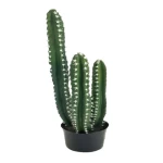 نبات صبار الشمعدان الصناعي، طول 55 سم، لون أخضر 